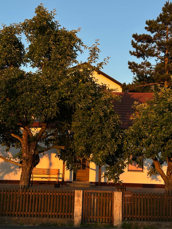 Serene country house with trees and fence in warm sunset light.